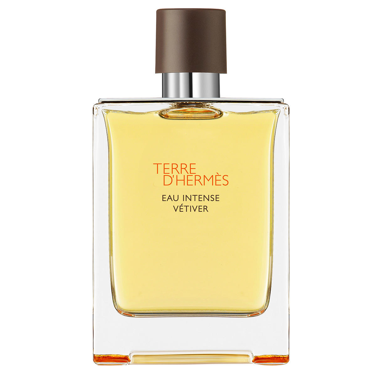 HERMÈS Terre d’Hermès Eau Intense Vétiver Eau de Parfum 200 ml