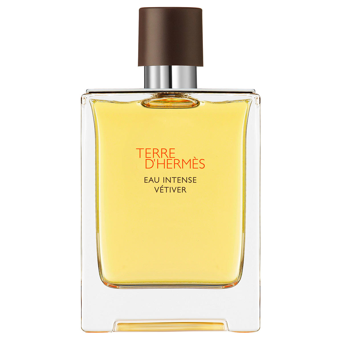 HERMÈS Terre d’Hermès Eau Intense Vétiver Eau de Parfum 100 ml