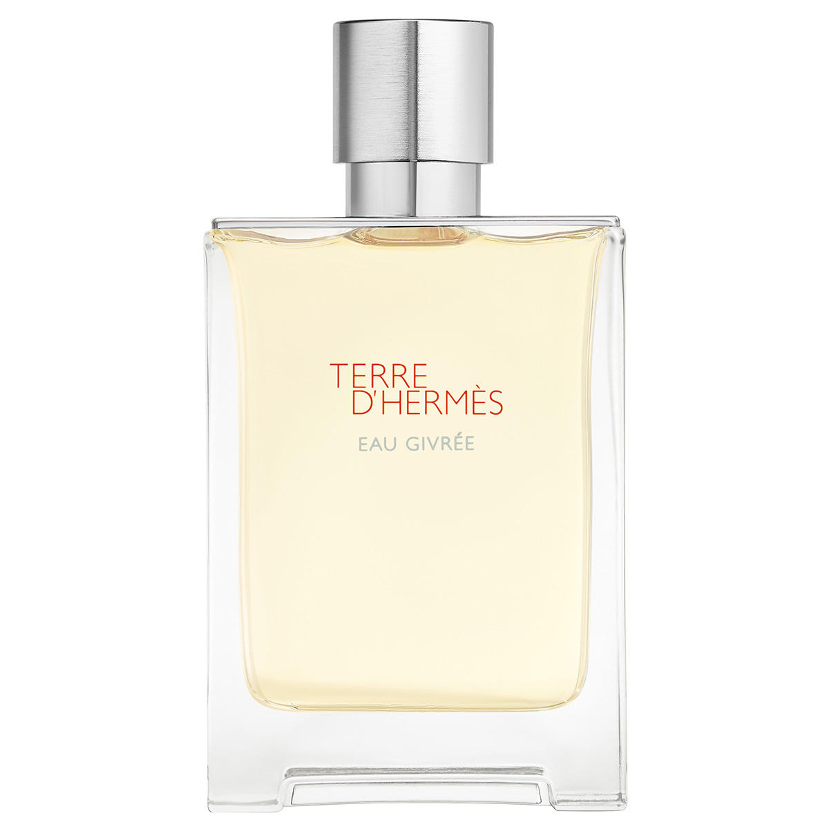 HERMÈS Terre d’Hermès Eau Givrée Eau de Parfum Refillable 100 ml
