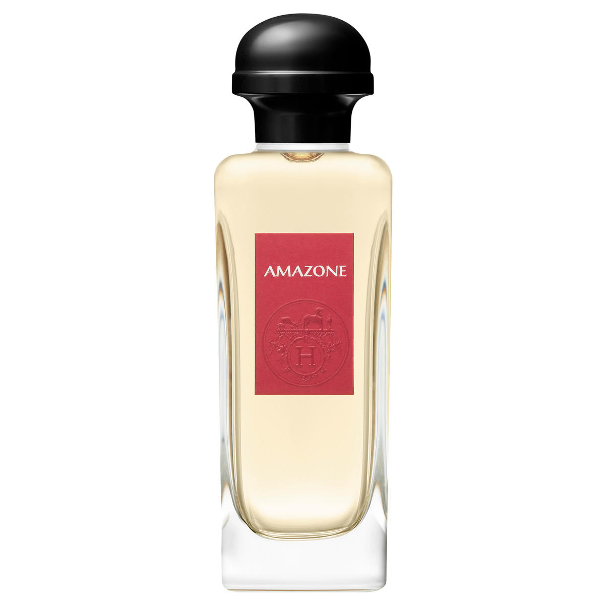 HERMÈS Amazone Eau de Toilette 100 ml