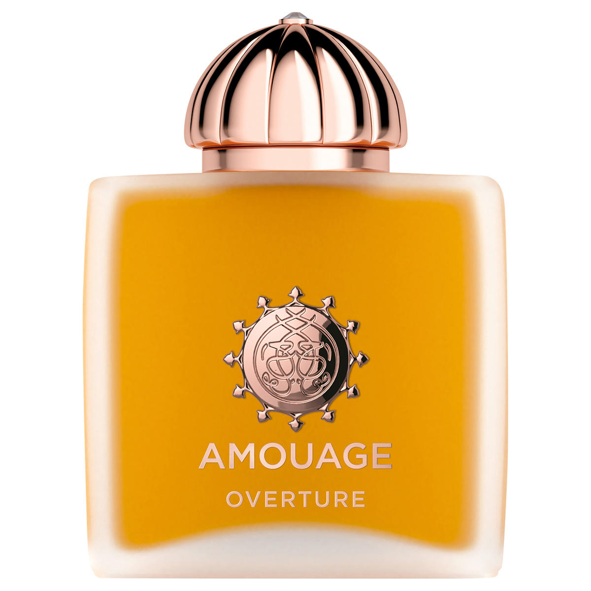 AMOUAGE Main Line Overture Woman Eau de Parfum 100 ml