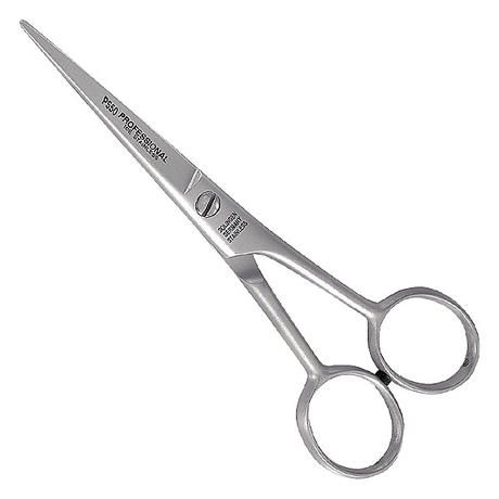 Hair scissors Professional 5½"