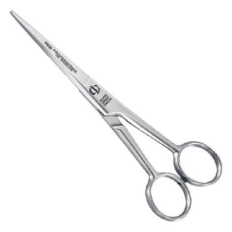 Hair scissors Professional 6"