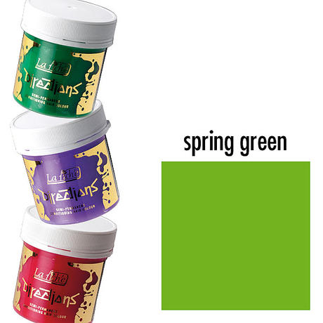 La rich'e Directions Crèmes colorantes Spring Green 100 ml