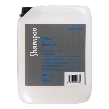 Spring Brillant Shampoo