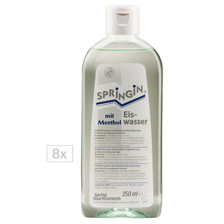 Spring Eiswasser mit Menthol 8 x 250 ml