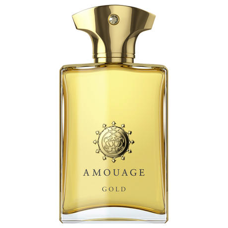 AMOUAGE Iconic Dia Man Eau de Parfum 100 ml