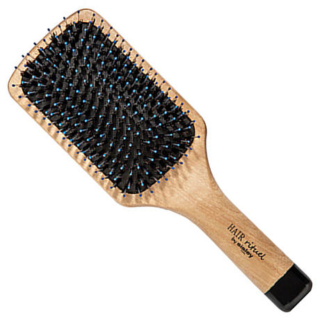 HAIR RITUEL by SISLEY La Brosse