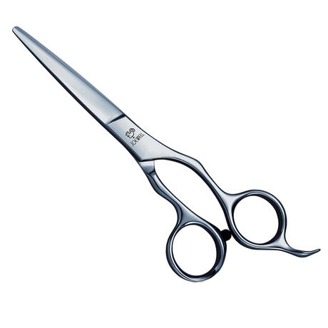 Joewell Ciseaux à cheveux AR-580