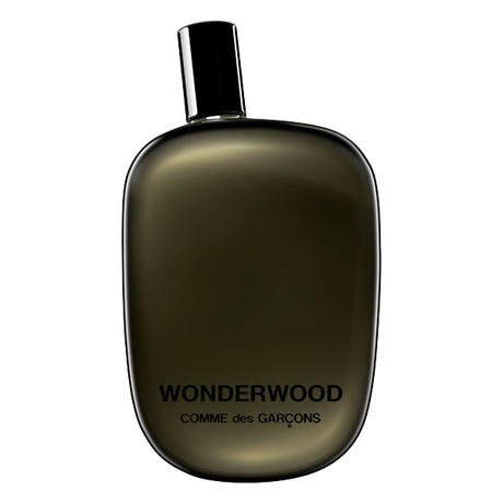 Comme des Garçons Wonderwood Eau de Parfum 100 ml