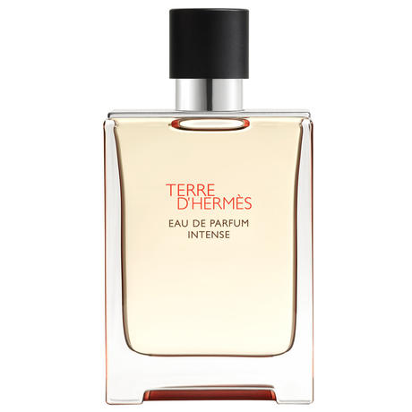HERMÈS Terre d’Hermès Eau de Parfum Intense Refillable 100 ml