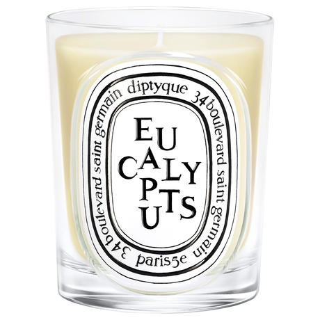 diptyque Eucalyptus Classic Candle