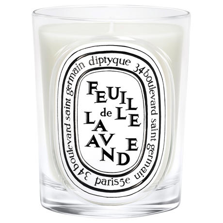 diptyque Feuille de Lavande Classic Candle