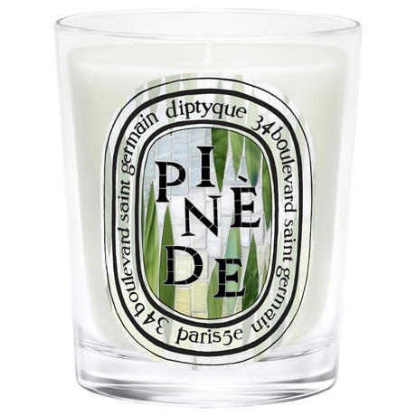 diptyque Pinède Classic Candle