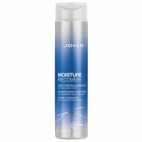 JOICO MOISTURE RECOVERY Moisturizing Shampoo